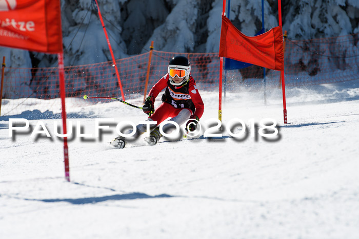 Ziener Cup WF, Finale, Quali + Parallelslalom, 24.03.2018