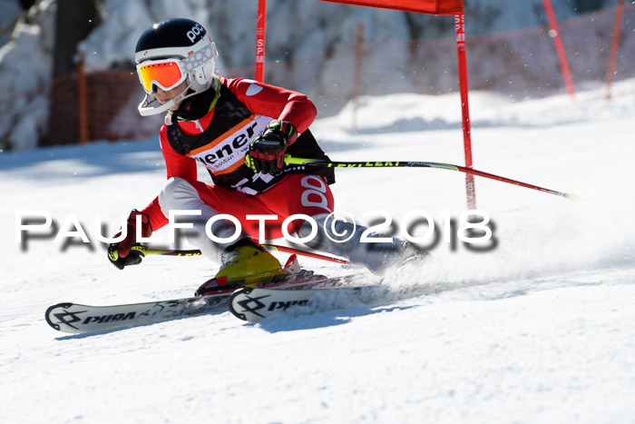 Ziener Cup WF, Finale, Quali + Parallelslalom, 24.03.2018