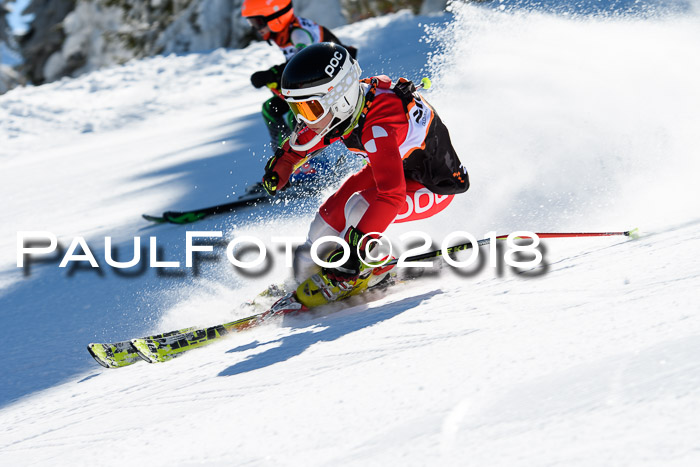 Ziener Cup WF, Finale, Quali + Parallelslalom, 24.03.2018