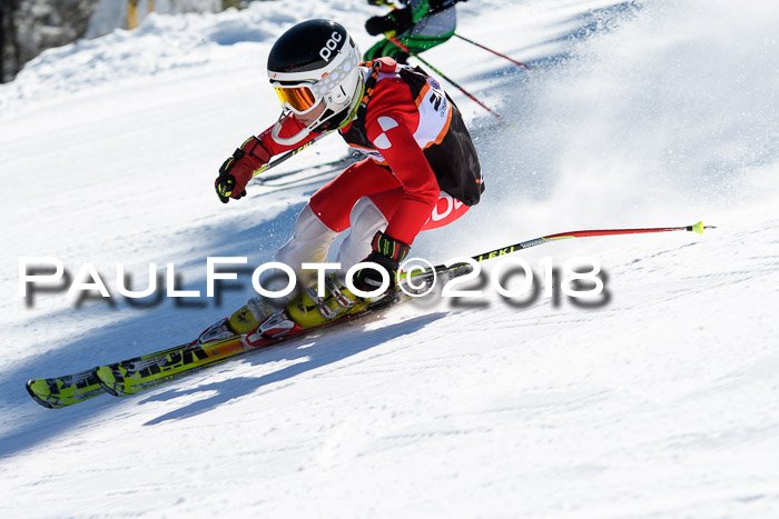 Ziener Cup WF, Finale, Quali + Parallelslalom, 24.03.2018