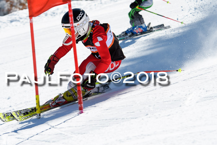 Ziener Cup WF, Finale, Quali + Parallelslalom, 24.03.2018