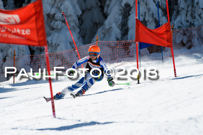 Ziener Cup WF, Finale, Quali + Parallelslalom, 24.03.2018