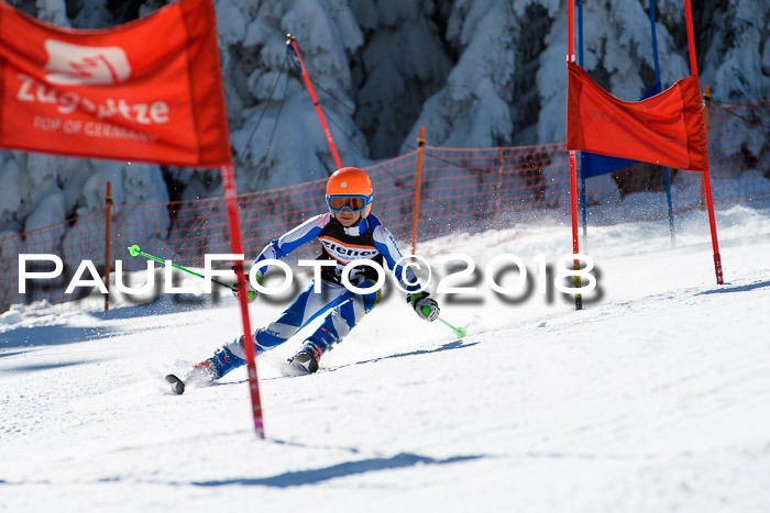 Ziener Cup WF, Finale, Quali + Parallelslalom, 24.03.2018