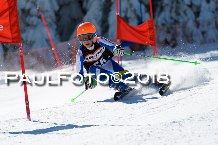 Ziener Cup WF, Finale, Quali + Parallelslalom, 24.03.2018