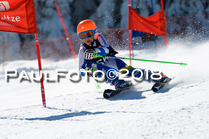 Ziener Cup WF, Finale, Quali + Parallelslalom, 24.03.2018