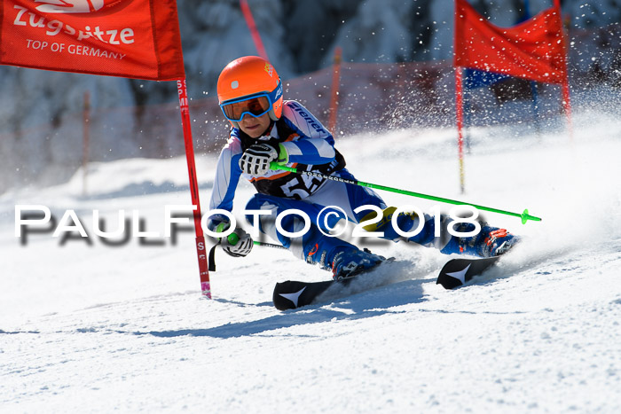 Ziener Cup WF, Finale, Quali + Parallelslalom, 24.03.2018