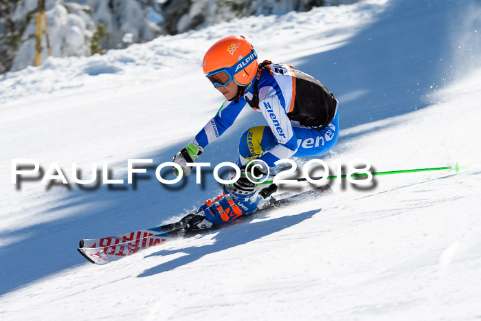 Ziener Cup WF, Finale, Quali + Parallelslalom, 24.03.2018