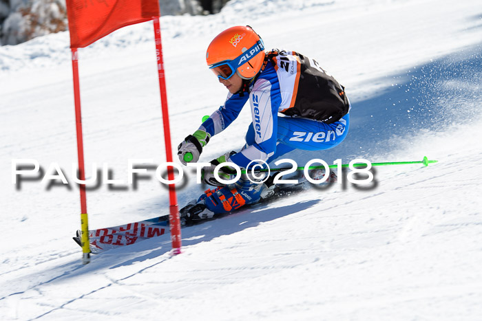 Ziener Cup WF, Finale, Quali + Parallelslalom, 24.03.2018