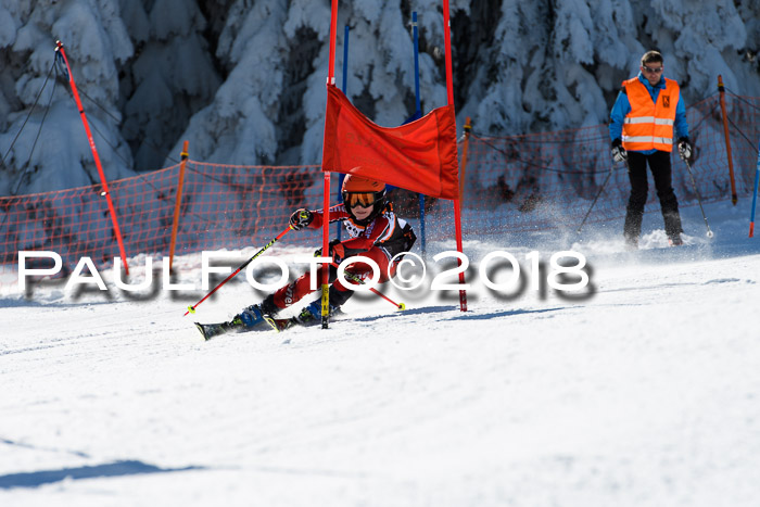 Ziener Cup WF, Finale, Quali + Parallelslalom, 24.03.2018