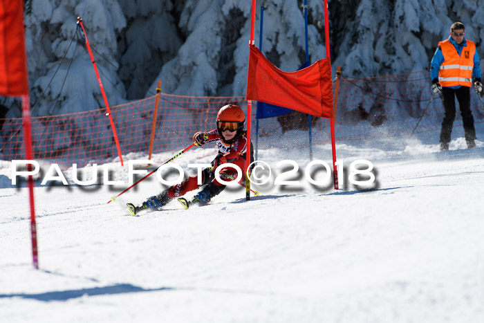 Ziener Cup WF, Finale, Quali + Parallelslalom, 24.03.2018