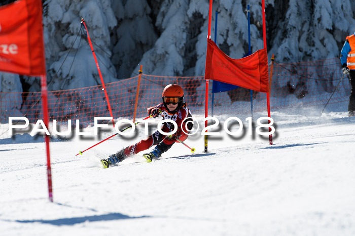 Ziener Cup WF, Finale, Quali + Parallelslalom, 24.03.2018
