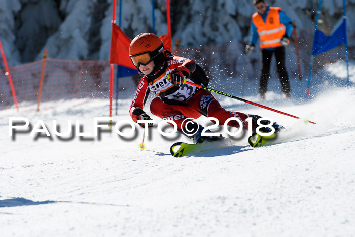 Ziener Cup WF, Finale, Quali + Parallelslalom, 24.03.2018