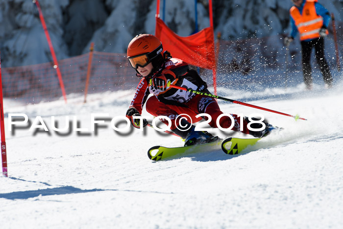 Ziener Cup WF, Finale, Quali + Parallelslalom, 24.03.2018