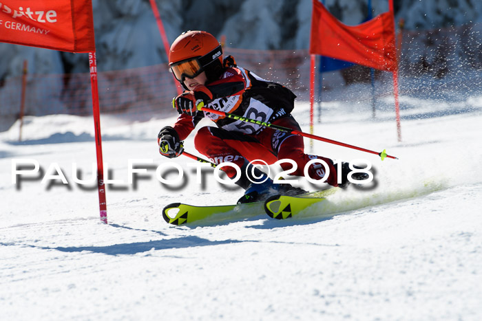 Ziener Cup WF, Finale, Quali + Parallelslalom, 24.03.2018