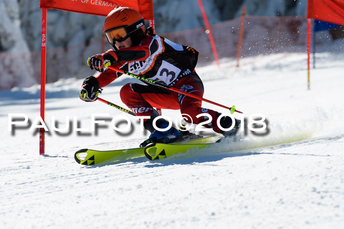 Ziener Cup WF, Finale, Quali + Parallelslalom, 24.03.2018