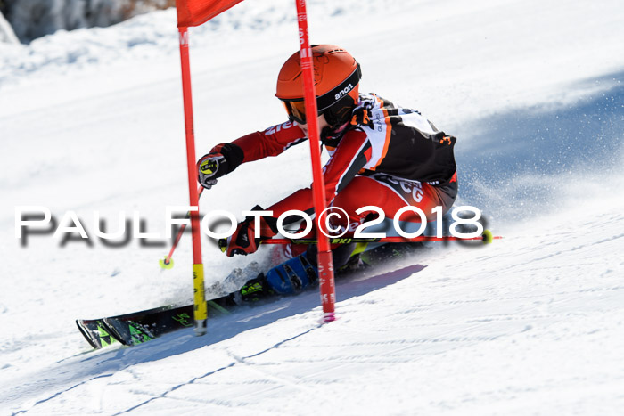 Ziener Cup WF, Finale, Quali + Parallelslalom, 24.03.2018