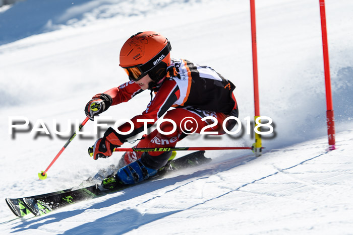 Ziener Cup WF, Finale, Quali + Parallelslalom, 24.03.2018