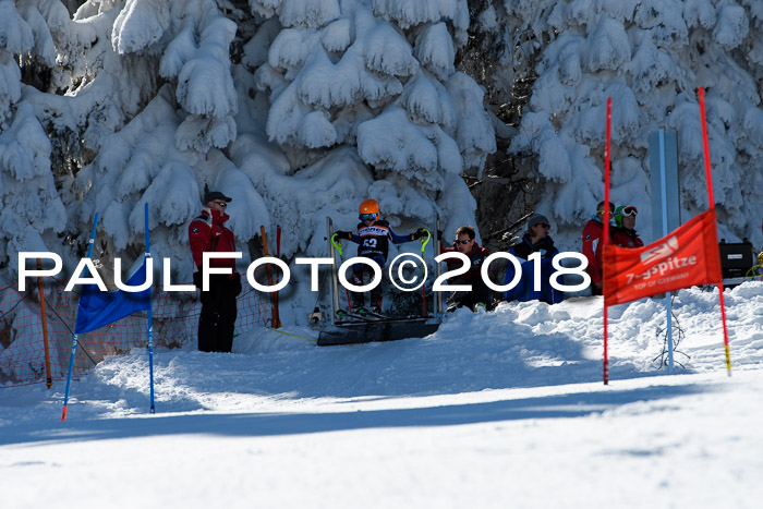 Ziener Cup WF, Finale, Quali + Parallelslalom, 24.03.2018