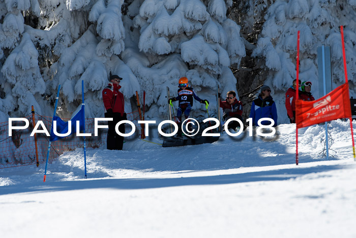 Ziener Cup WF, Finale, Quali + Parallelslalom, 24.03.2018