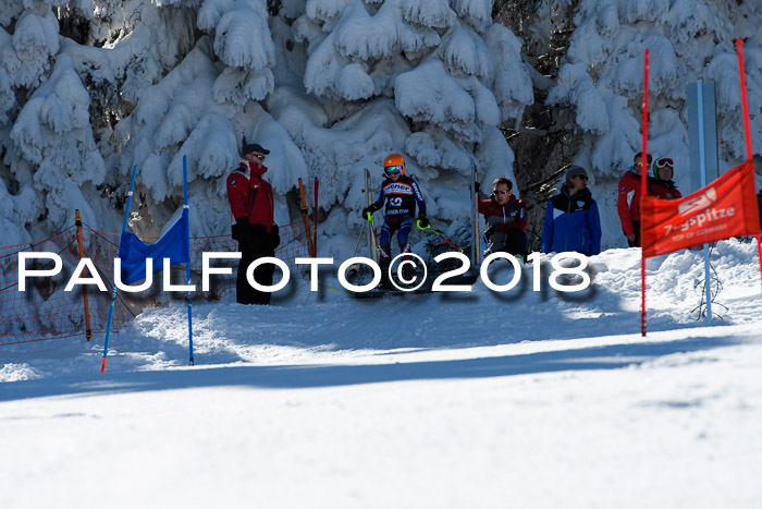 Ziener Cup WF, Finale, Quali + Parallelslalom, 24.03.2018