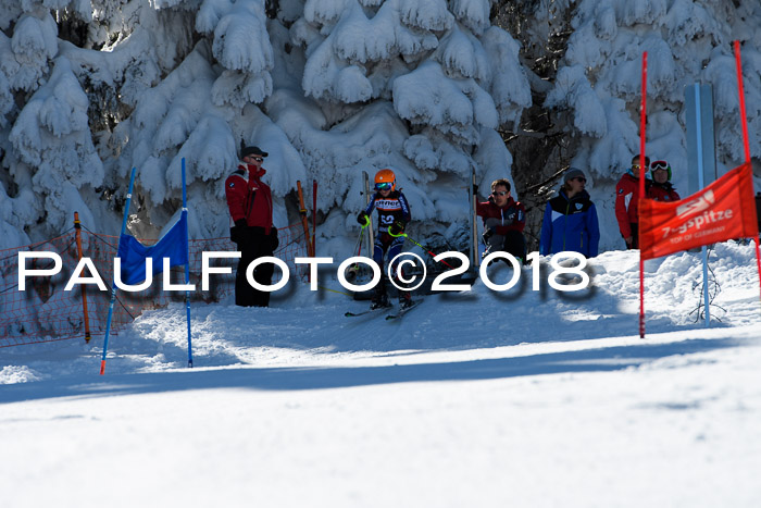 Ziener Cup WF, Finale, Quali + Parallelslalom, 24.03.2018