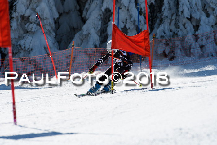 Ziener Cup WF, Finale, Quali + Parallelslalom, 24.03.2018