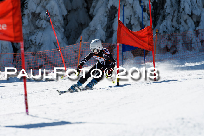 Ziener Cup WF, Finale, Quali + Parallelslalom, 24.03.2018