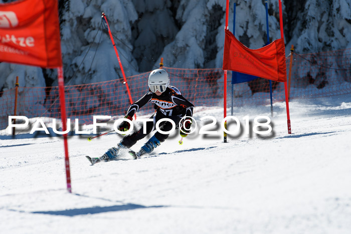 Ziener Cup WF, Finale, Quali + Parallelslalom, 24.03.2018