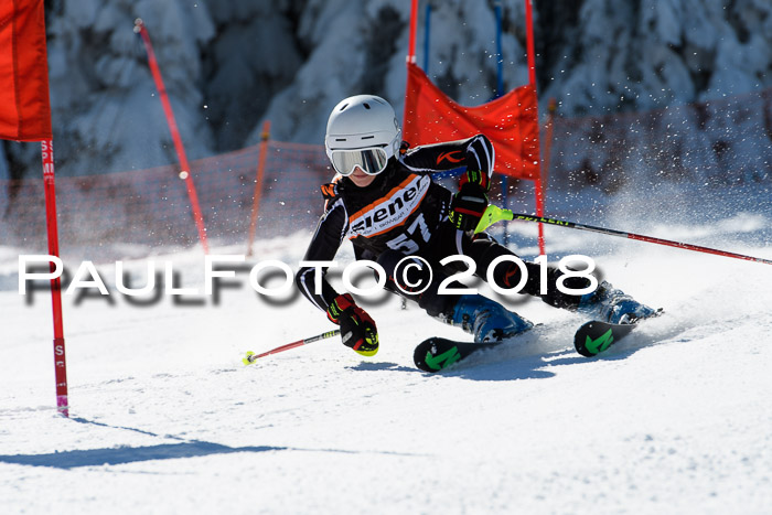 Ziener Cup WF, Finale, Quali + Parallelslalom, 24.03.2018