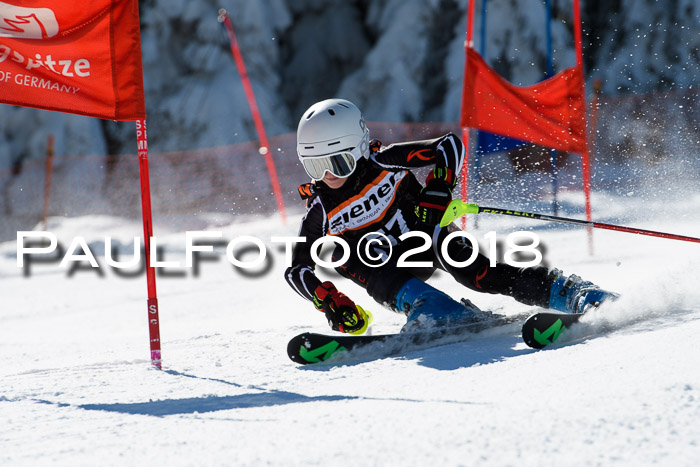 Ziener Cup WF, Finale, Quali + Parallelslalom, 24.03.2018