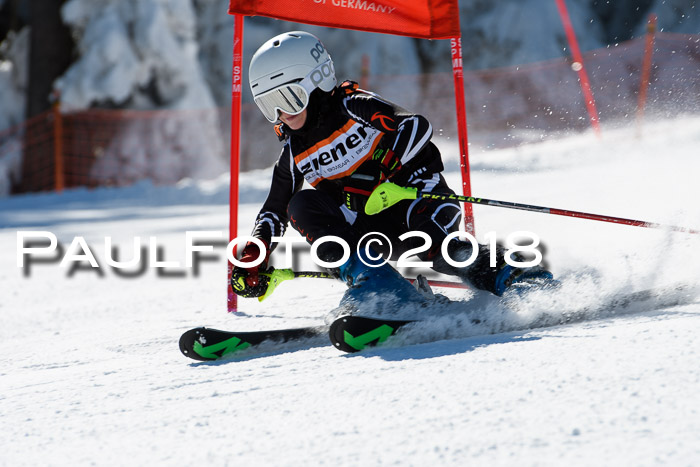 Ziener Cup WF, Finale, Quali + Parallelslalom, 24.03.2018