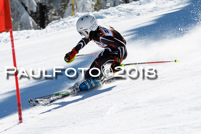 Ziener Cup WF, Finale, Quali + Parallelslalom, 24.03.2018