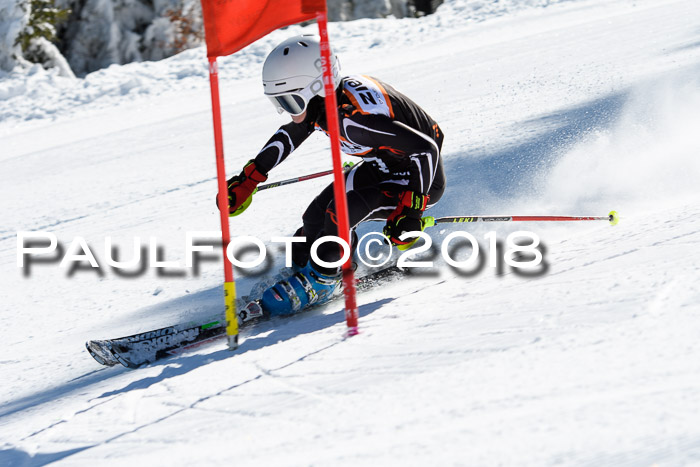 Ziener Cup WF, Finale, Quali + Parallelslalom, 24.03.2018