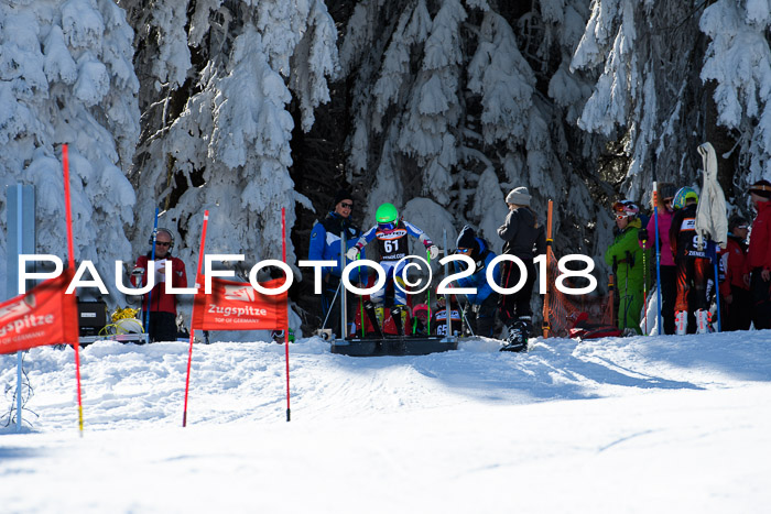 Ziener Cup WF, Finale, Quali + Parallelslalom, 24.03.2018
