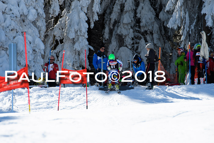 Ziener Cup WF, Finale, Quali + Parallelslalom, 24.03.2018