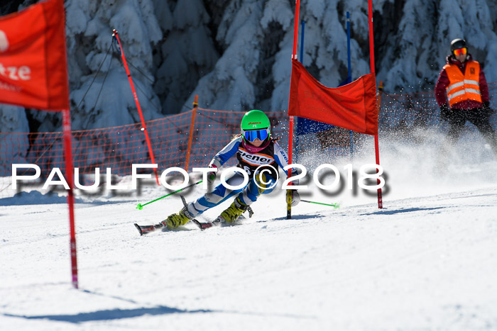 Ziener Cup WF, Finale, Quali + Parallelslalom, 24.03.2018