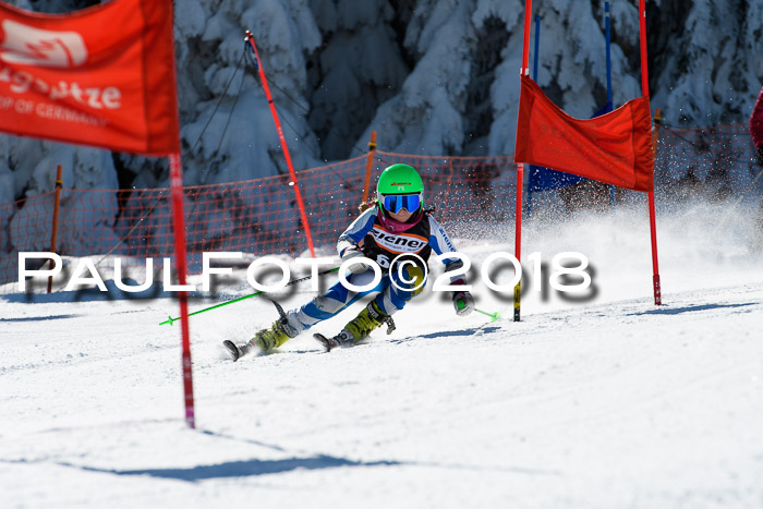 Ziener Cup WF, Finale, Quali + Parallelslalom, 24.03.2018