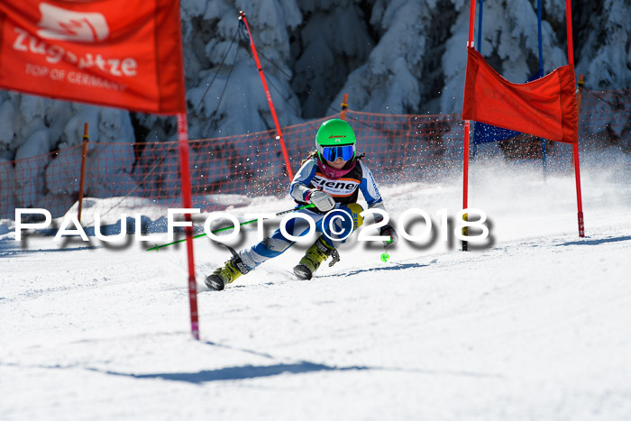 Ziener Cup WF, Finale, Quali + Parallelslalom, 24.03.2018
