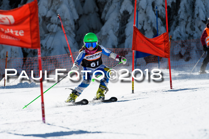Ziener Cup WF, Finale, Quali + Parallelslalom, 24.03.2018
