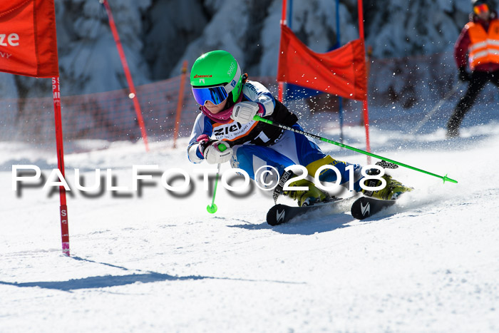 Ziener Cup WF, Finale, Quali + Parallelslalom, 24.03.2018