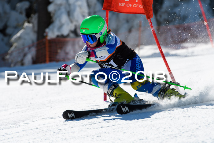 Ziener Cup WF, Finale, Quali + Parallelslalom, 24.03.2018