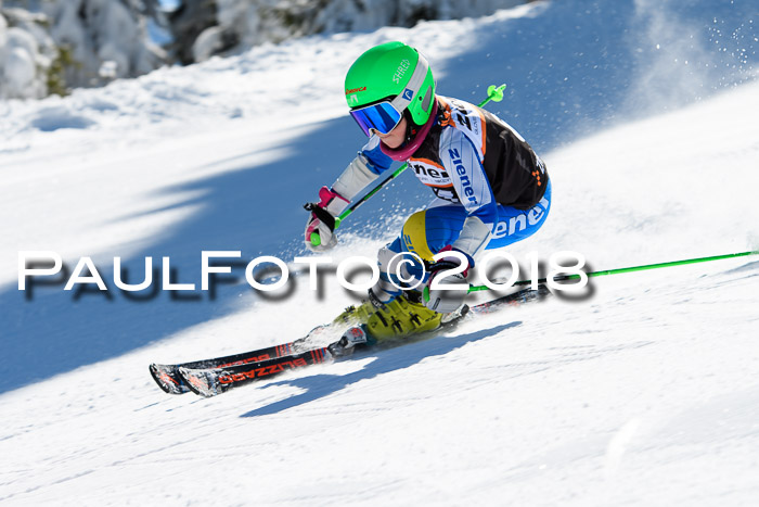 Ziener Cup WF, Finale, Quali + Parallelslalom, 24.03.2018