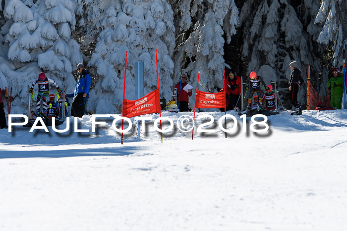 Ziener Cup WF, Finale, Quali + Parallelslalom, 24.03.2018