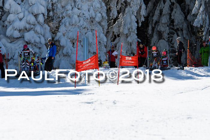 Ziener Cup WF, Finale, Quali + Parallelslalom, 24.03.2018