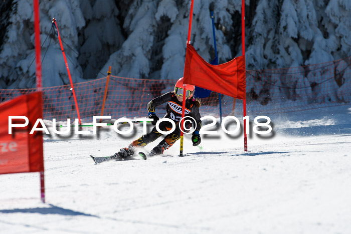 Ziener Cup WF, Finale, Quali + Parallelslalom, 24.03.2018