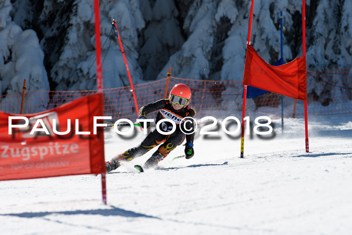 Ziener Cup WF, Finale, Quali + Parallelslalom, 24.03.2018