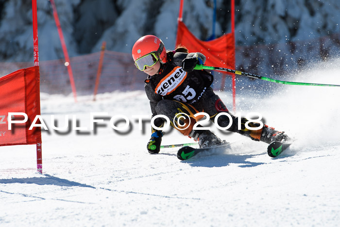 Ziener Cup WF, Finale, Quali + Parallelslalom, 24.03.2018