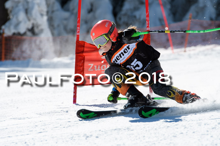 Ziener Cup WF, Finale, Quali + Parallelslalom, 24.03.2018