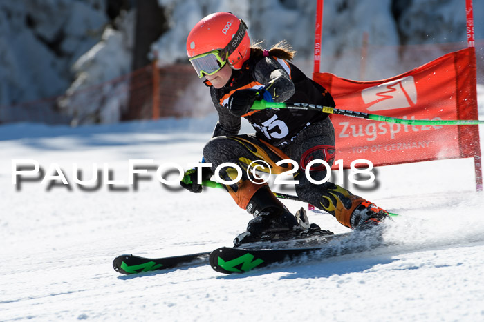 Ziener Cup WF, Finale, Quali + Parallelslalom, 24.03.2018