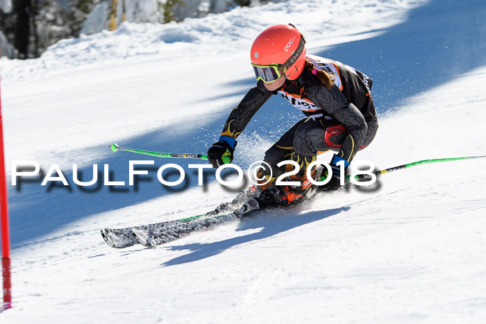 Ziener Cup WF, Finale, Quali + Parallelslalom, 24.03.2018